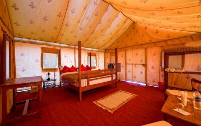Wild Heart, Warm Welcome: Crafting Your Authentic Yala Hotel Experience