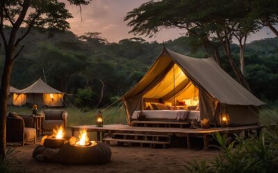 Where to Find the Best Safari in Sri Lanka