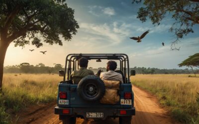 Sri Lanka Elephant Transit Home: Conservation in Action